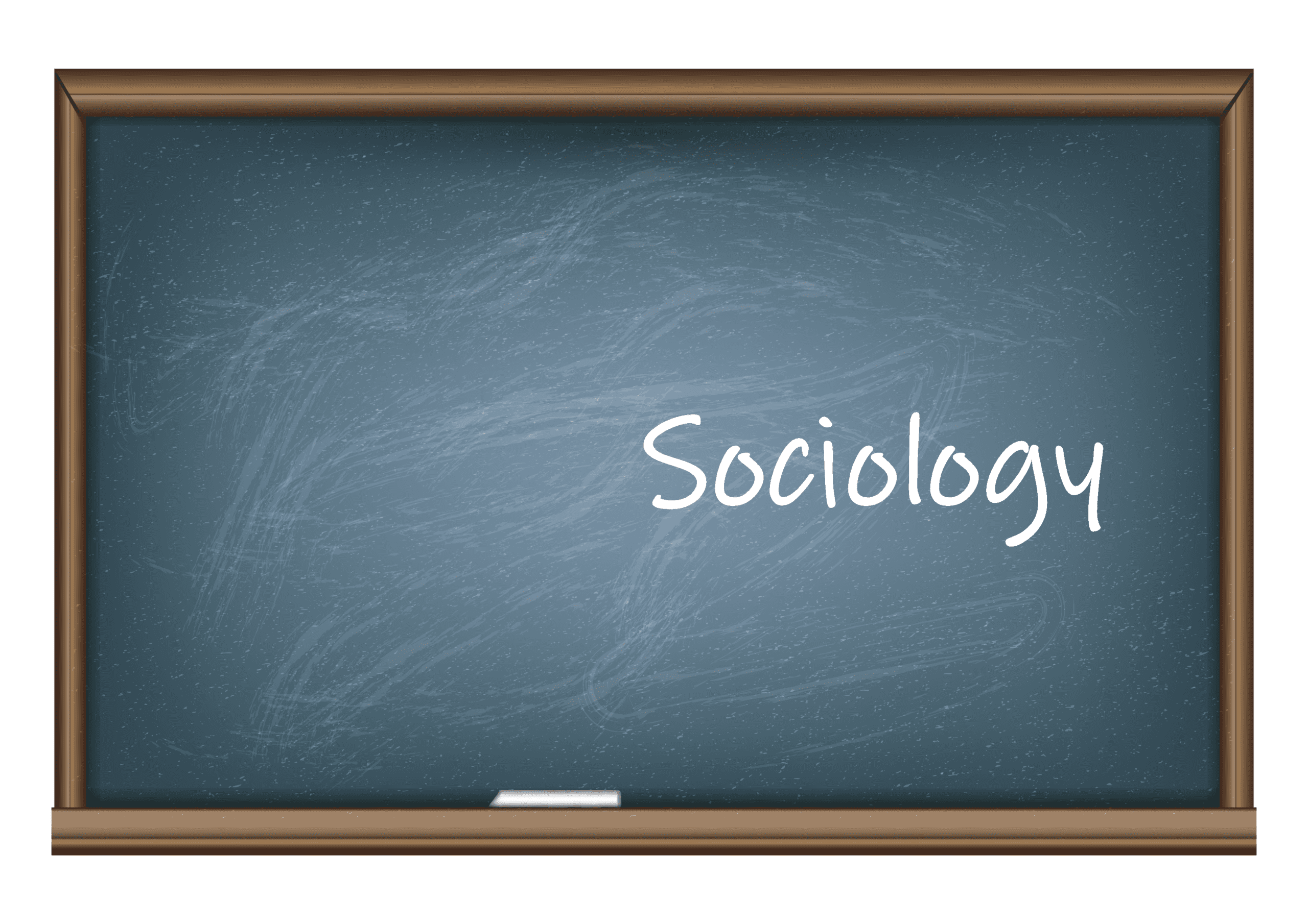 What Are The Best Sociology Jobs With A Bachelor s Degree 